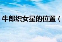 牛郎织女星的位置（牛郎织女星的位置介绍）