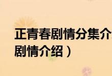 正青春剧情分集介绍（电视剧正青春1至2集剧情介绍）