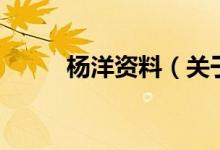 杨洋资料（关于杨洋资料的介绍）