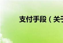 支付手段（关于支付手段的介绍）