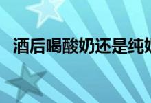 酒后喝酸奶还是纯奶好（酒后喝酸奶好吗）