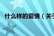 什么样的爱情（关于什么样的爱情的介绍）