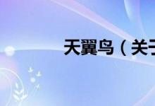 天翼鸟（关于天翼鸟的介绍）