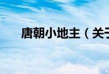 唐朝小地主（关于唐朝小地主的介绍）