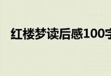 红楼梦读后感100字（红楼梦读后感示例）