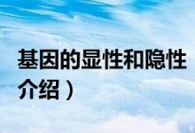 基因的显性和隐性（关于基因的显性和隐性的介绍）