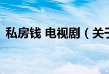 私房钱 电视剧（关于私房钱 电视剧的介绍）