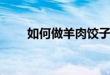 如何做羊肉饺子（羊肉饺子的做法）