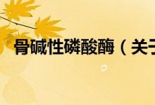 骨碱性磷酸酶（关于骨碱性磷酸酶的介绍）