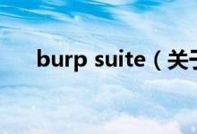 burp suite（关于burp suite的介绍）