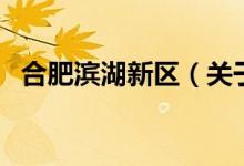 合肥滨湖新区（关于合肥滨湖新区的介绍）