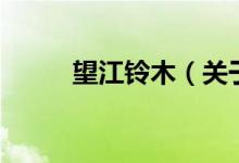 望江铃木（关于望江铃木的介绍）