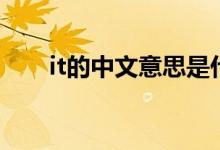 it的中文意思是什么（it的中文意思）