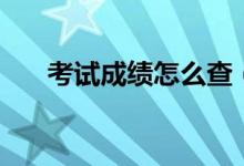 考试成绩怎么查（如何查询中考成绩）