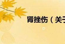 肾挫伤（关于肾挫伤的介绍）