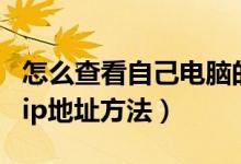 怎么查看自己电脑的ip地址（查看自己电脑的ip地址方法）