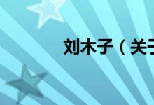 刘木子（关于刘木子的介绍）