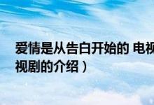 爱情是从告白开始的 电视剧（关于爱情是从告白开始的 电视剧的介绍）