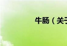 牛肠（关于牛肠的介绍）