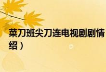 菜刀班尖刀连电视剧剧情（菜刀班尖刀连电视剧剧情简短介绍）