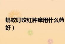 蚂蚁叮咬红肿痒用什么药（蚂蚁咬了后红肿痒用什么药比较好）