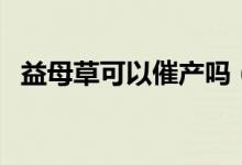 益母草可以催产吗（益母草可以催月经吗）