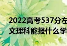 2022高考537分左右能上哪些大学（新高考文理科能报什么学校）