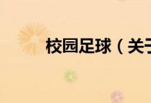 校园足球（关于校园足球的介绍）