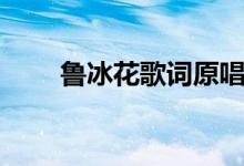 鲁冰花歌词原唱（鲁冰花完整歌词）