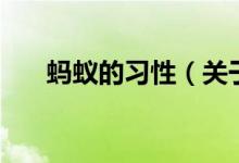 蚂蚁的习性（关于蚂蚁的习性的介绍）