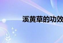 溪黄草的功效（溪黄草的特征）