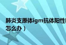 肺炎支原体igm抗体阳性吃什么（肺炎支原体igm抗体阳性怎么办）