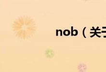 nob（关于nob的介绍）