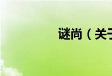 谜尚（关于谜尚的介绍）