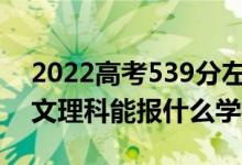 2022高考539分左右能上哪些大学（新高考文理科能报什么学校）