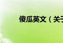 傻瓜英文（关于傻瓜英文的介绍）
