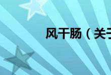 风干肠（关于风干肠的介绍）