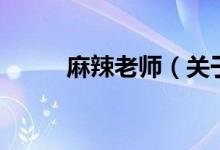 麻辣老师（关于麻辣老师的介绍）