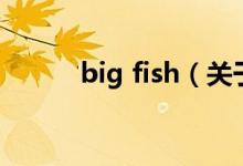 big fish（关于big fish的介绍）