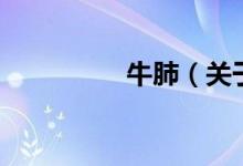 牛肺（关于牛肺的介绍）