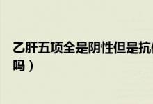 乙肝五项全是阴性但是抗体有加号（乙肝五项全是阴性正常吗）
