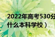 2022年高考530分左右能上哪些大学（能上什么本科学校）