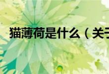 猫薄荷是什么（关于猫薄荷是什么的介绍）