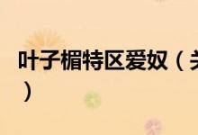 叶子楣特区爱奴（关于叶子楣特区爱奴的介绍）