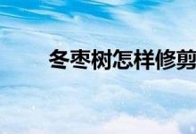 冬枣树怎样修剪（冬枣树如何修剪）