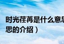 时光荏苒是什么意思（关于时光荏苒是什么意思的介绍）