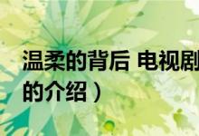 温柔的背后 电视剧（关于温柔的背后 电视剧的介绍）