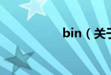 bin（关于bin的介绍）