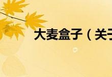 大麦盒子（关于大麦盒子的介绍）