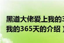黑道大佬爱上我的365天（关于黑道大佬爱上我的365天的介绍）